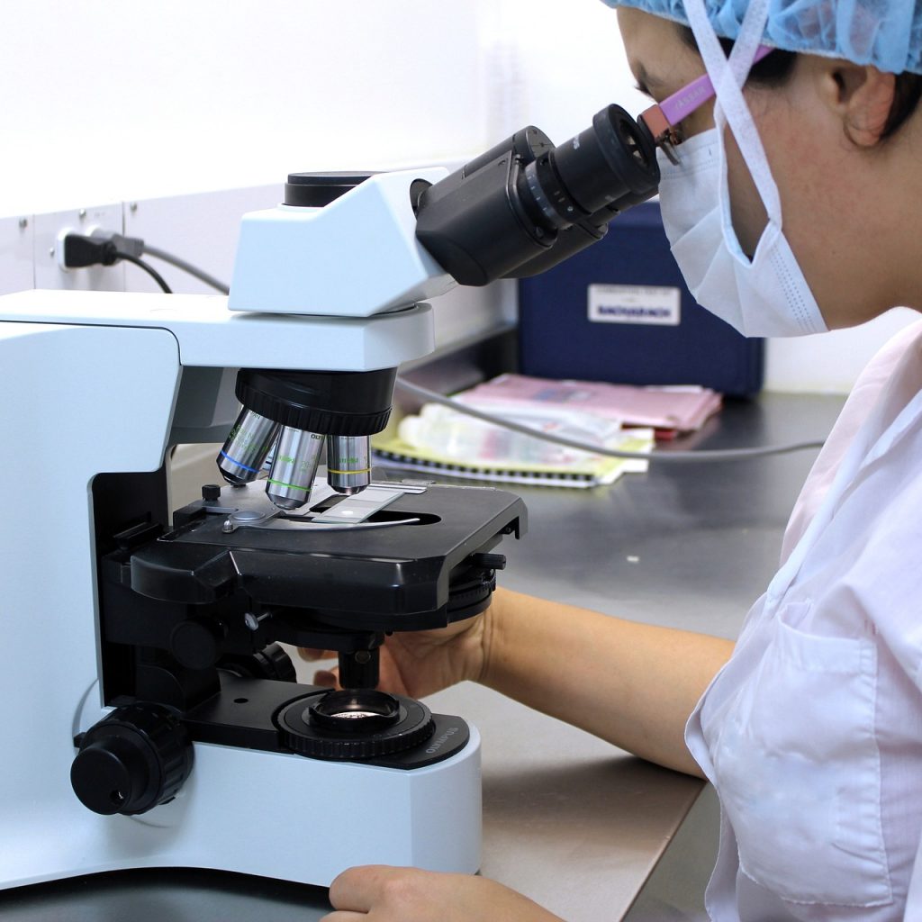 HP_Bild_Wissenschaft_Mikroskop
